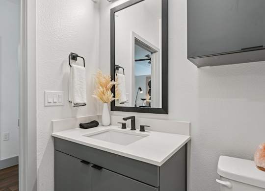 A bathroom with a white sink and a mirror above it.