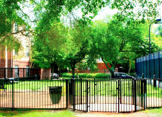 A black fence surrounds a green park area.