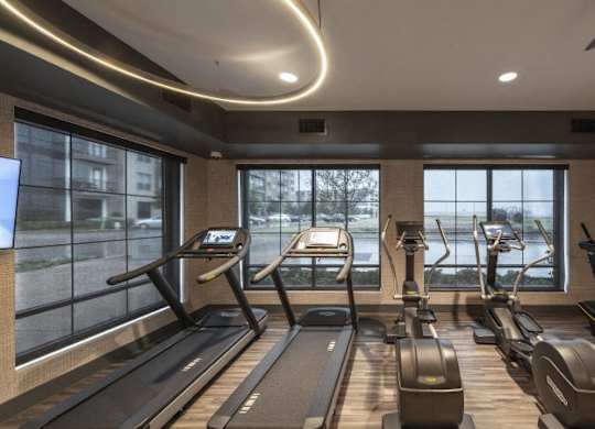 A gym with treadmills and elliptical machines.
