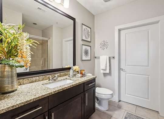A bathroom with a toilet, sink, and mirror.