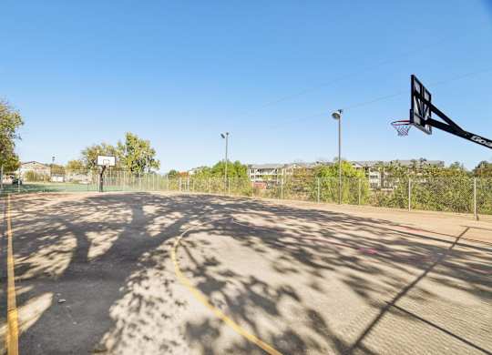 A basketball court with a hoop and a yellow line on the ground.