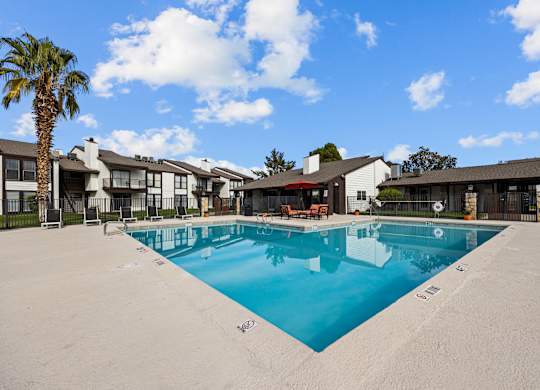 A large swimming pool in front of a building with a palm tree.