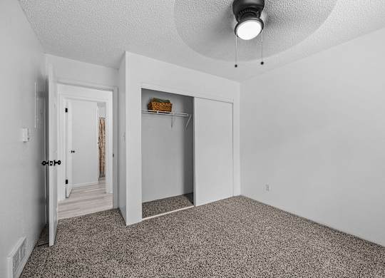 the living room of an apartment with a carpeted floor and a closet