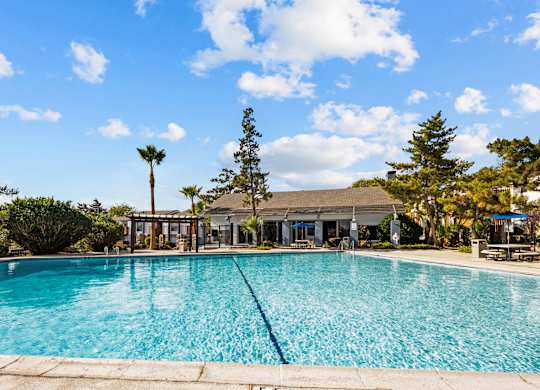 the swimming pool at the resort at longboat key club