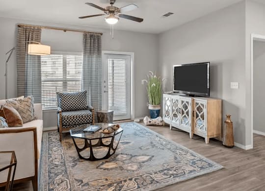 A living room with a ceiling fan, a sofa, a chair, a coffee table, a television, and a rug.