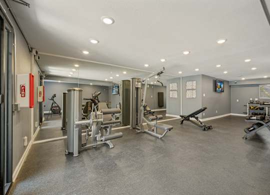 A gym with a variety of equipment including a squat rack, bench press, and a rowing machine.