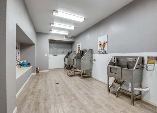 an empty room with three stainless steel tubs in the center of it