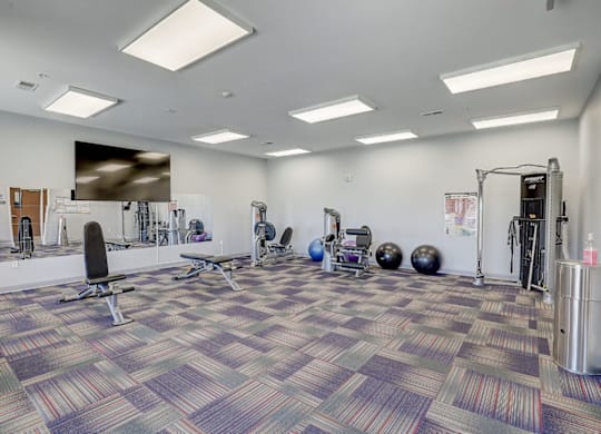 A gym with a variety of equipment including a squat rack, bench, and weights.