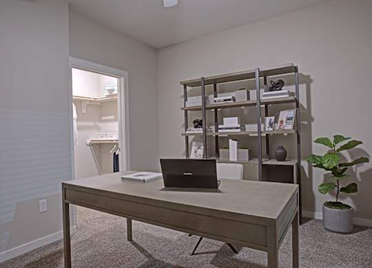 A room with a desk, laptop, and shelves with books and decorations.