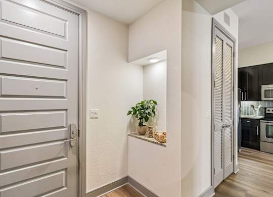 A white door with a plant on the ledge.