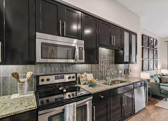 A modern kitchen with black cabinets and stainless steel appliances.