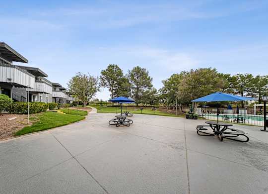 A parking lot with a few cars and a blue umbrella.