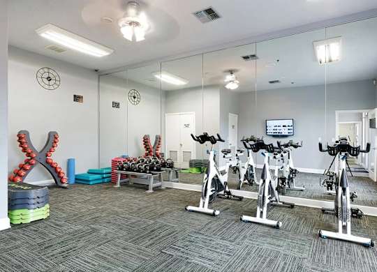 A room with a grey carpet and a mirrored wall with exercise bikes in front of it.