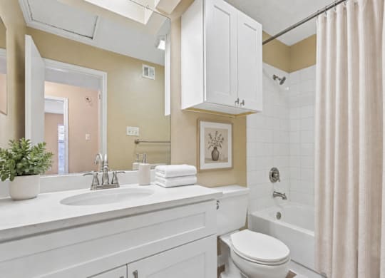 A white bathroom with a toilet, sink, and shower.
