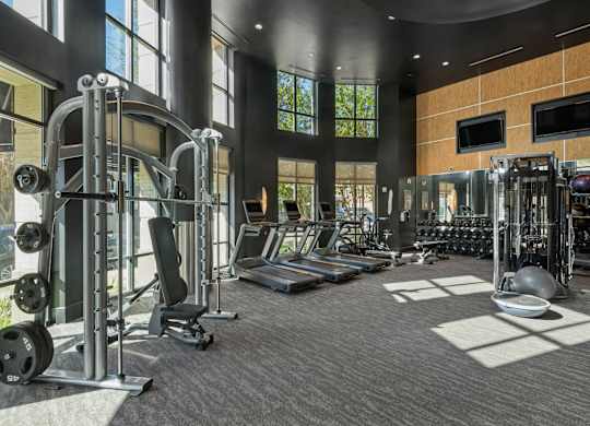 A gym with a variety of equipment including a treadmill, weights, and a bench press.