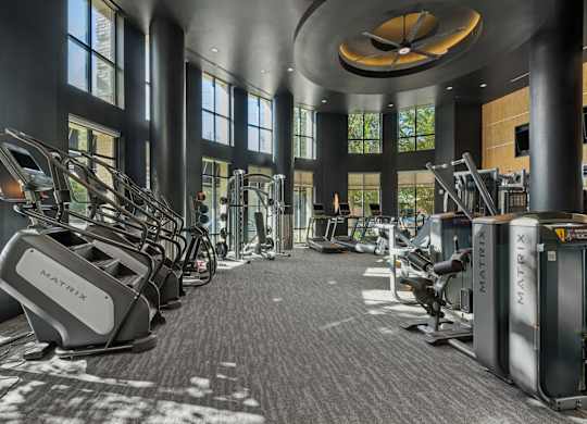 A gym with treadmills and elliptical machines.