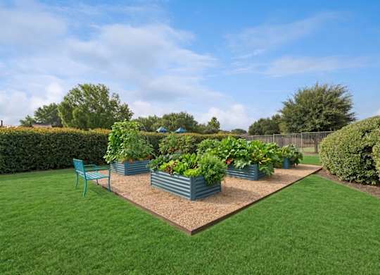 A garden with a green bench and a raised bed of vegetables.