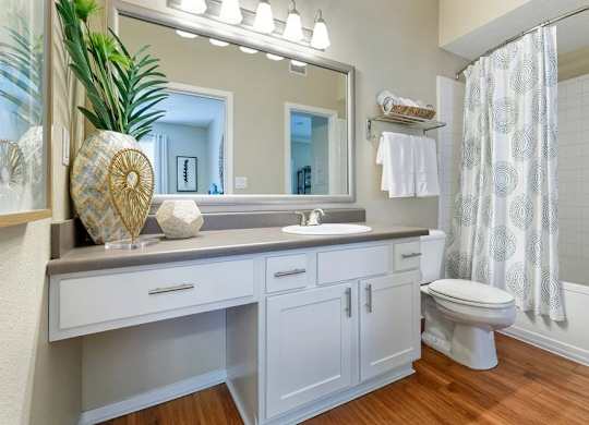 A bathroom with a white toilet and a sink with a mirror above it.
