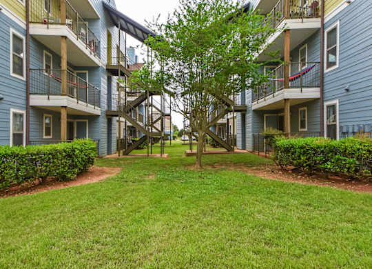 A tree in the middle of a grassy area between two apartment buildings.