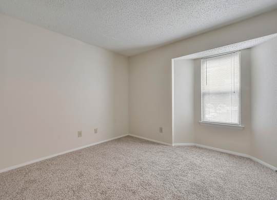 A room with a carpeted floor and a window with blinds.