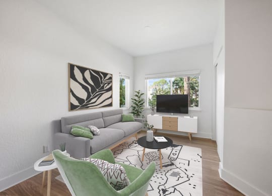 a living room with a gray couch and a tv
