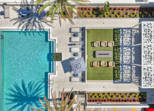 an aerial view of a pool and a backyard with a palm tree