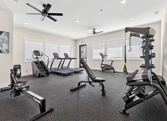 A gym with a variety of equipment including treadmills, rowing machines, and weight benches.