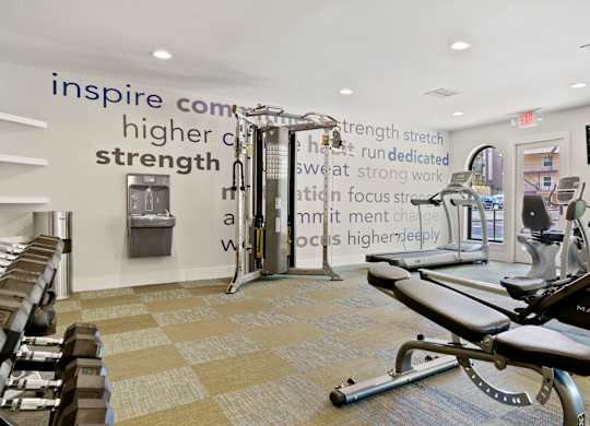 the gym at the enclave at woodbridge apartments in sugar land, tx