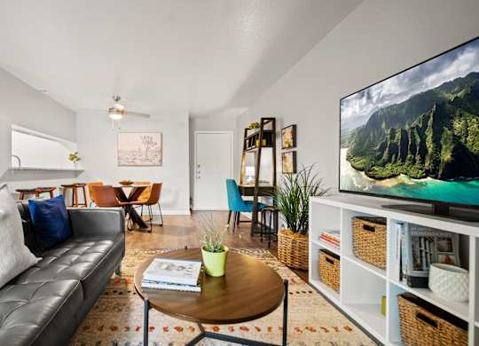 a living room with a couch a coffee table and a tv