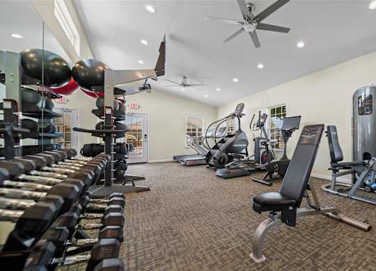 A well-equipped gym with a variety of exercise machines and weights.
