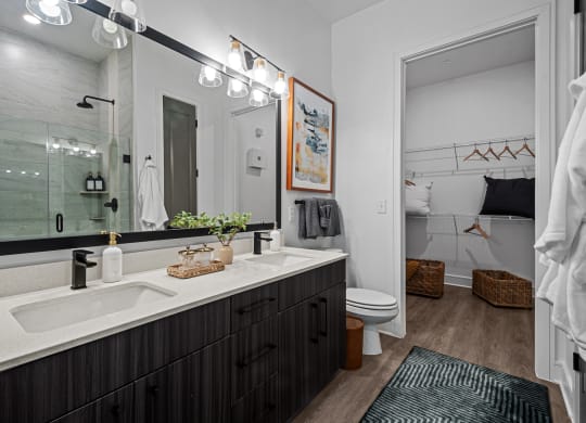 a bathroom with a sink and a mirror and a toilet