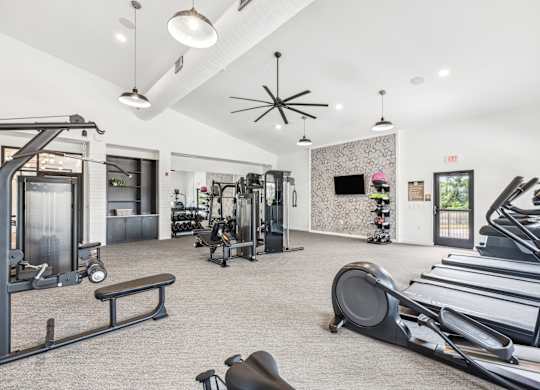 A gym with treadmills, weights, and exercise equipment.