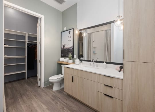 a bathroom with a sink and a toilet and a mirror