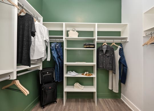 a walk in closet with white shelving and a green wall