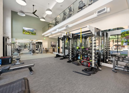 the gym at the flats at big tex apartments