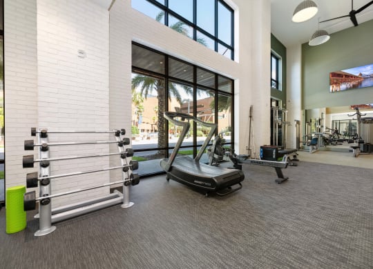 the gym at theamia apartments in upper druid hills