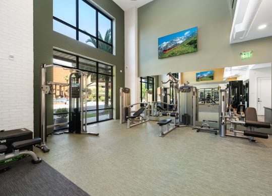 the gym at the preserve at johnsons crossing apartments