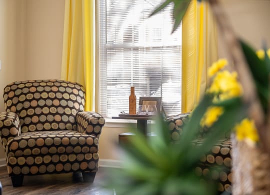 Traditional decor next to a window
