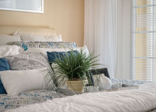 A decor photo of a bed