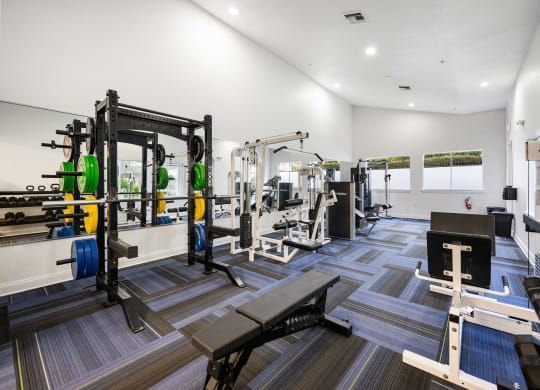 a gym with weights and cardio equipment on the floor and