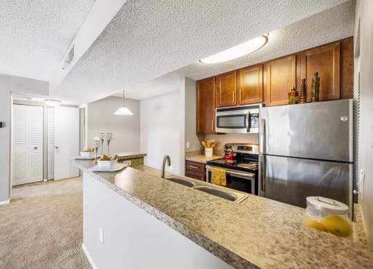 our apartments have a modern kitchen with stainless steel appliances and granite counter tops