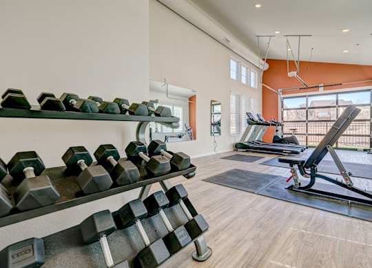 A gym with dumbbells and exercise equipment.
