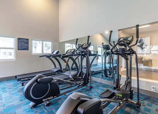 A gym with treadmills and elliptical machines.