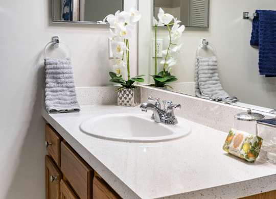 A bathroom with a white sink and a mirror above it.