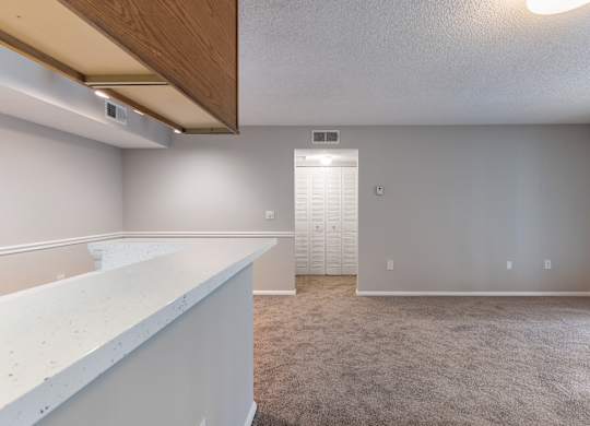 A room with a white counter and a carpeted floor.