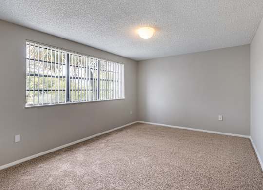 A room with a window and a carpeted floor.