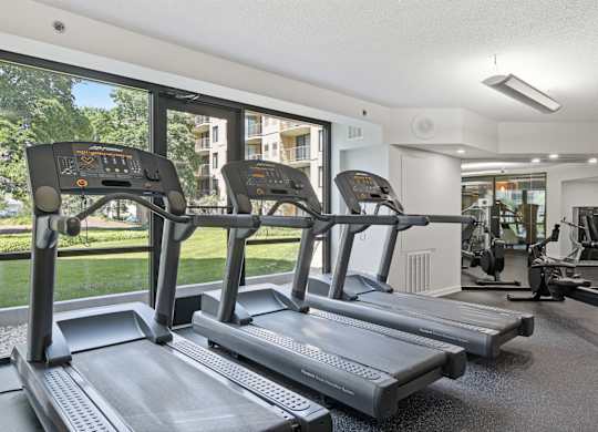 A gym with treadmills and other exercise equipment.