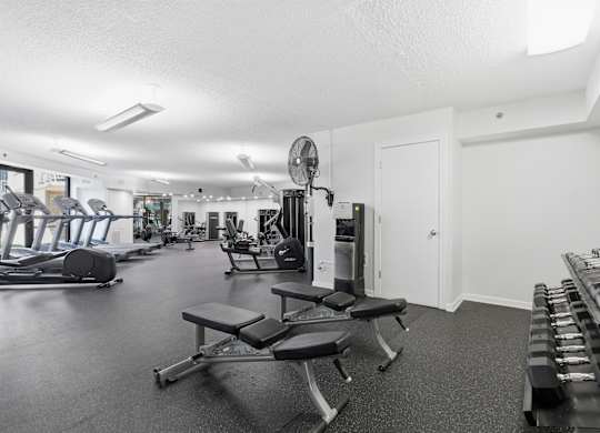A gym with a variety of equipment including treadmills, weights, and a bench.