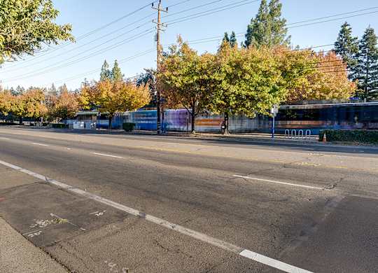 A street with a bus stop and trees in the background.
