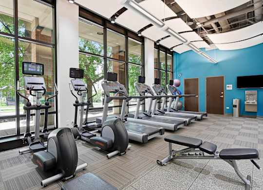 A gym with treadmills, elliptical machines, and a bench in front of floor to ceiling windows.